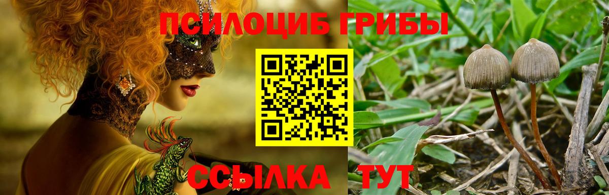 Псилоцибиновые грибы Magic Shrooms Красноуфимск